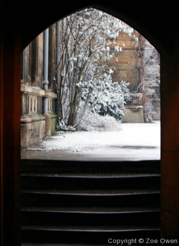 Caius in Snow - Photo 5