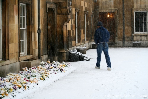 Caius in Snow - Photo 9