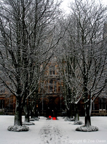 Caius in Snow - Photo 12