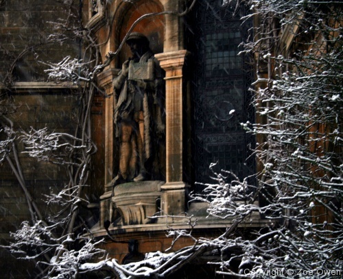 Caius in Snow - Photo 20