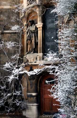 Caius in Snow - Photo 21